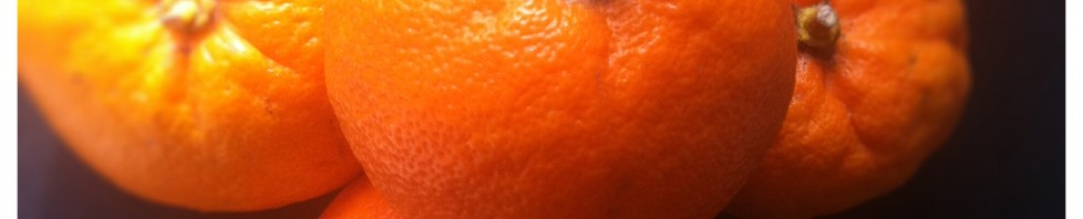 De echte bittere sinaasappel!